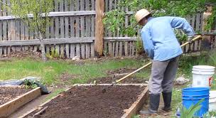 Retirement Productive Gardening