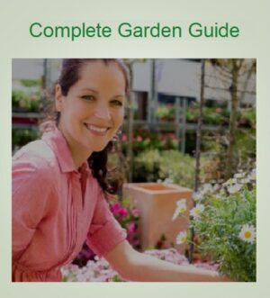 Learn more about landscape design, the soil your working with and how to maintain your dream garden.