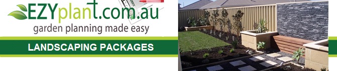 Landscaping Packages